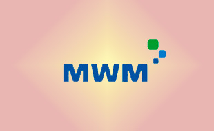 ✓ MWM 0336 3251 Запчасть MWM 